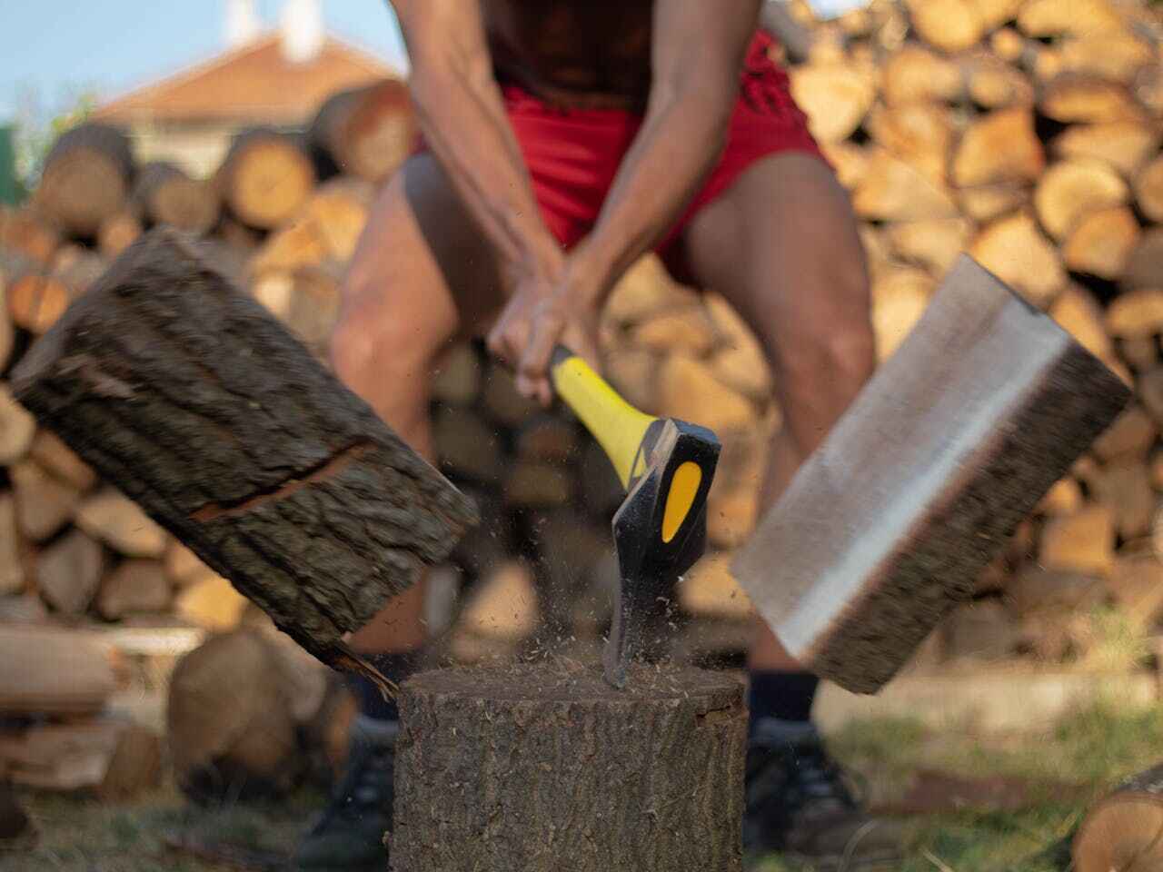 Residential Tree Removal